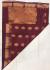 PL BIG BUTTA SAREE